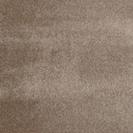 Signature Seduction Euphoria 49